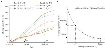 Stronger Spring Phenological Advance in Future Warming Scenarios for Temperate Species With a Lower Chilling Sensitivity